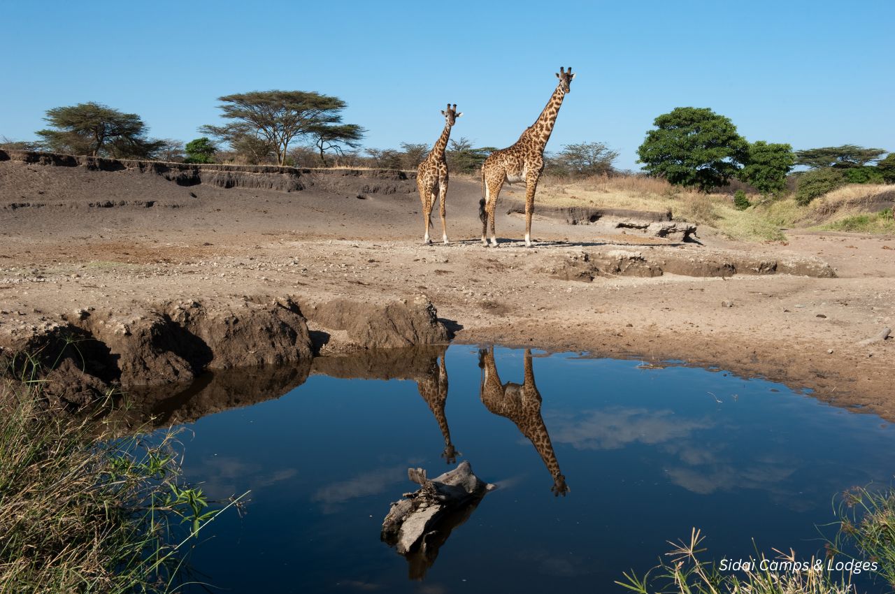 Important Things to Know Before Traveling to Tanzania